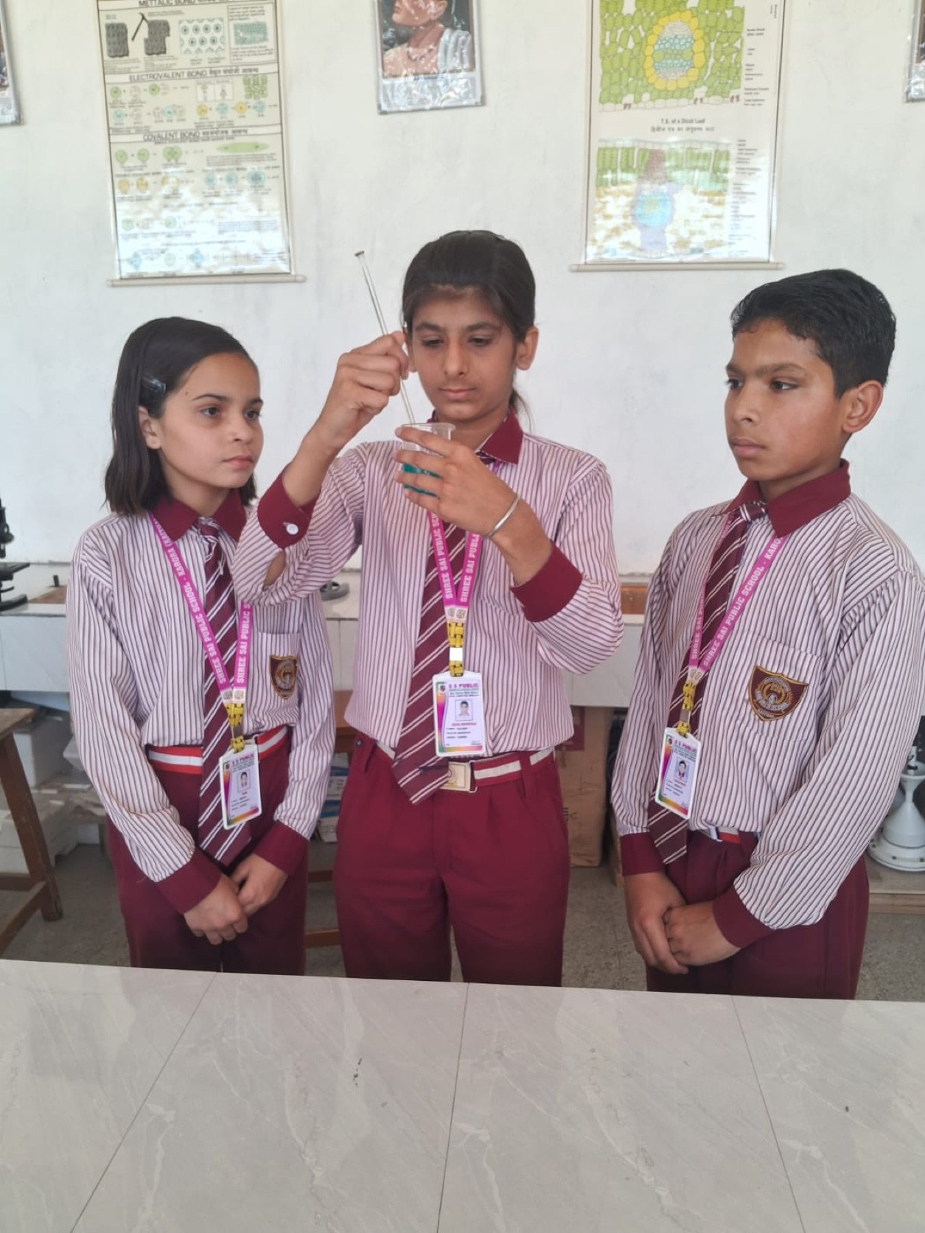 Students and staff of Shree Sai Public School, Karora — Academics.