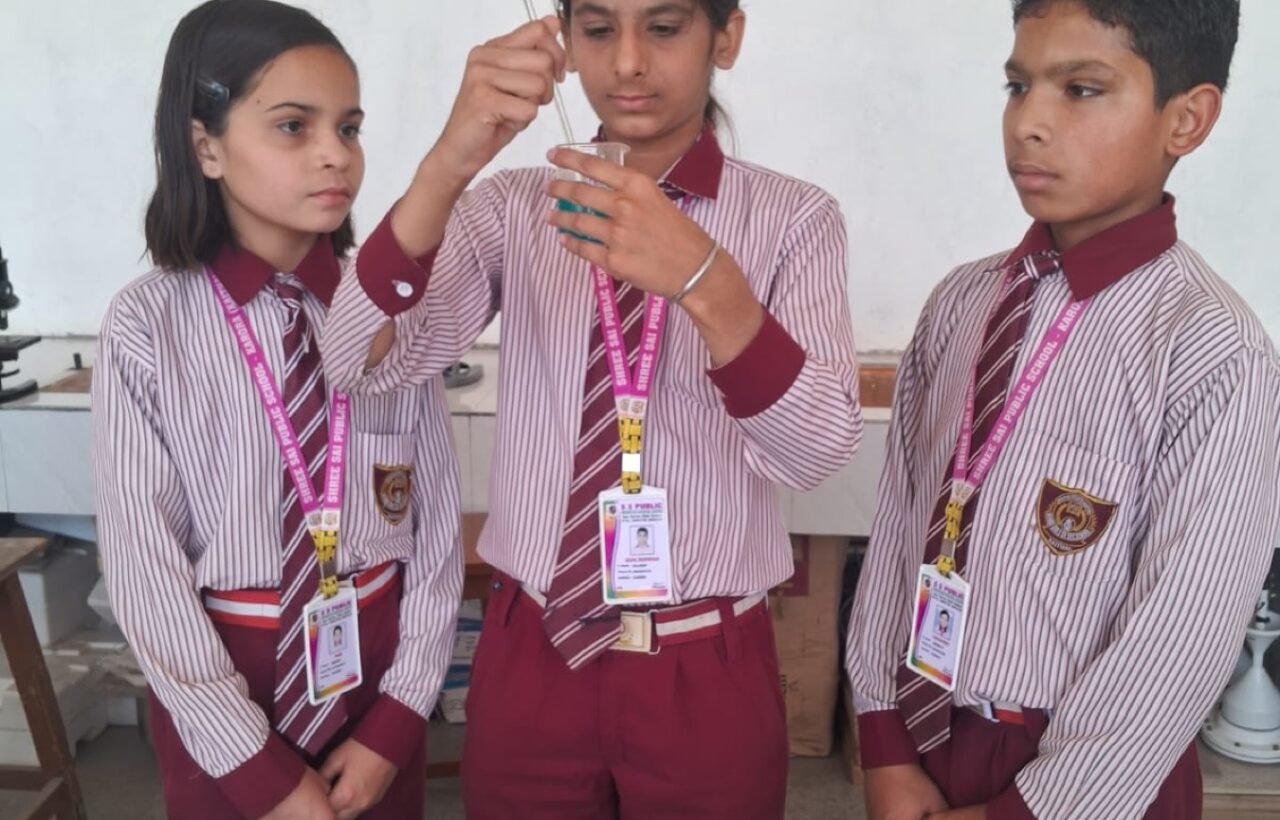 Practical Science Learning at SSPS Karora